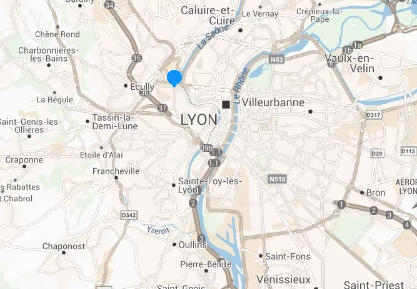 Screenshot ViaMichelin FIDUCIAL Sofiral Lyon.