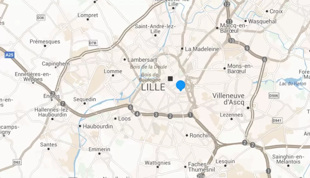 Screenshot ViaMichelin agence Expertise Lille.